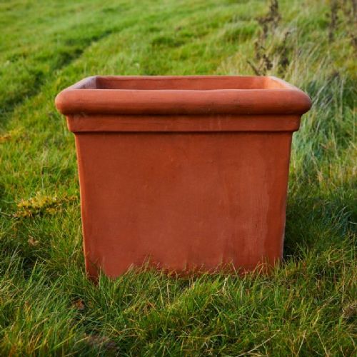 Terracotta Baytree Square planter